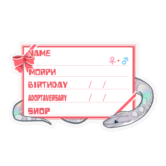 【🐍お名前ステッカー】コロニジ(アザン) ‐リボン／ピンク(英語)