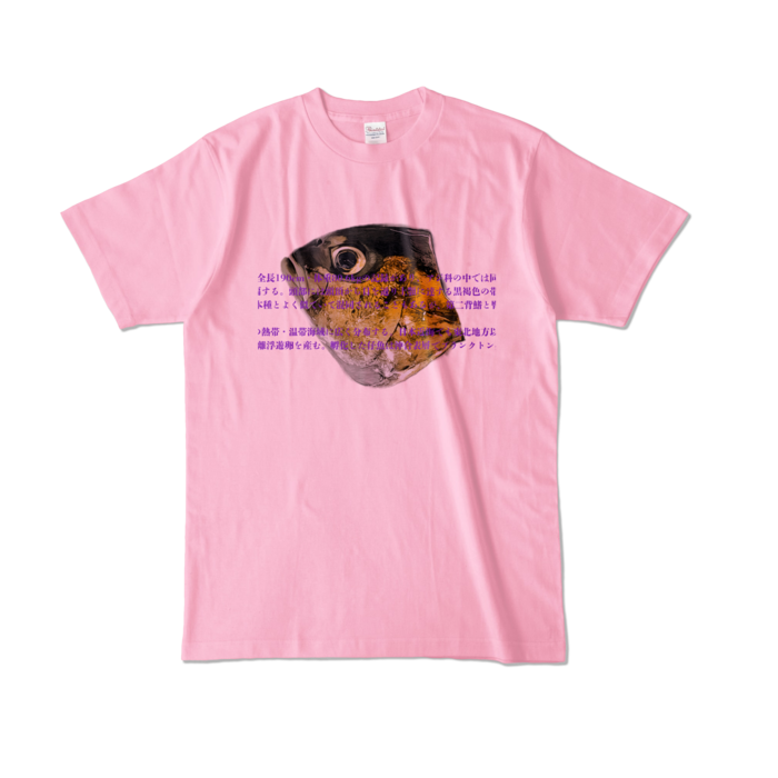 カラーTシャツ - L - ピーチ (淡色)
