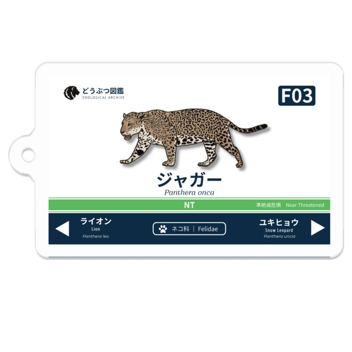 ジャガー