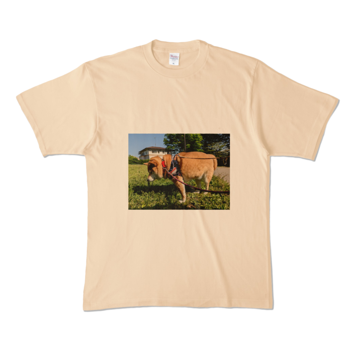 カラーTシャツ - XL - ナチュラル (淡色)