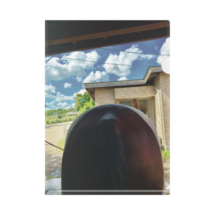 クリアファイル - A4