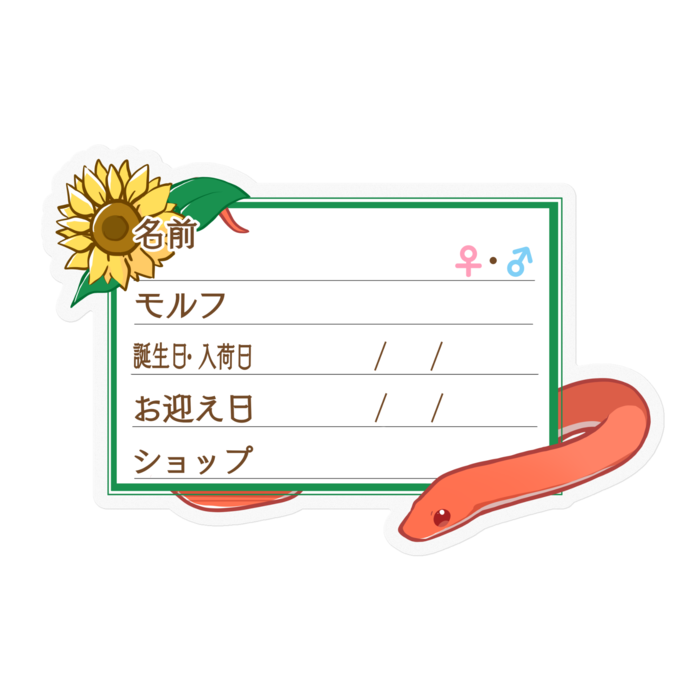 【🐍お名前ステッカー】コーンスネーク(ブラッドレッド) - ひまわり