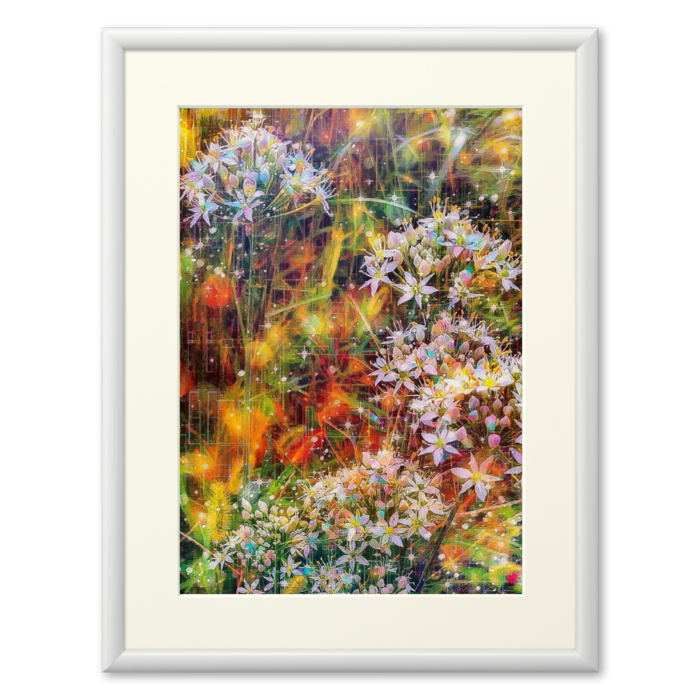 複製画(プリモアート) - A4