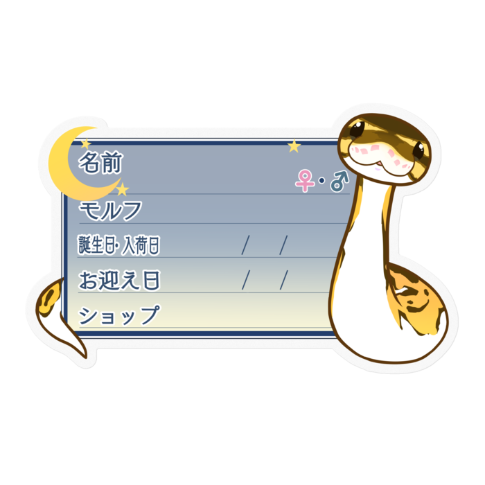 【🐍お名前ステッカー】ボールパイソン(パイボール) ‐夜