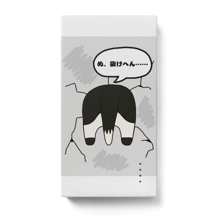 モバイルバッテリー - 123 x 65 (mm)