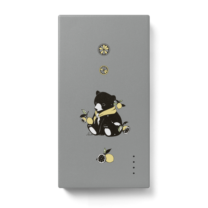 モバイルバッテリー - 123 x 65 (mm)