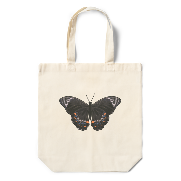 エコバッグ - 360×370×110(mm)