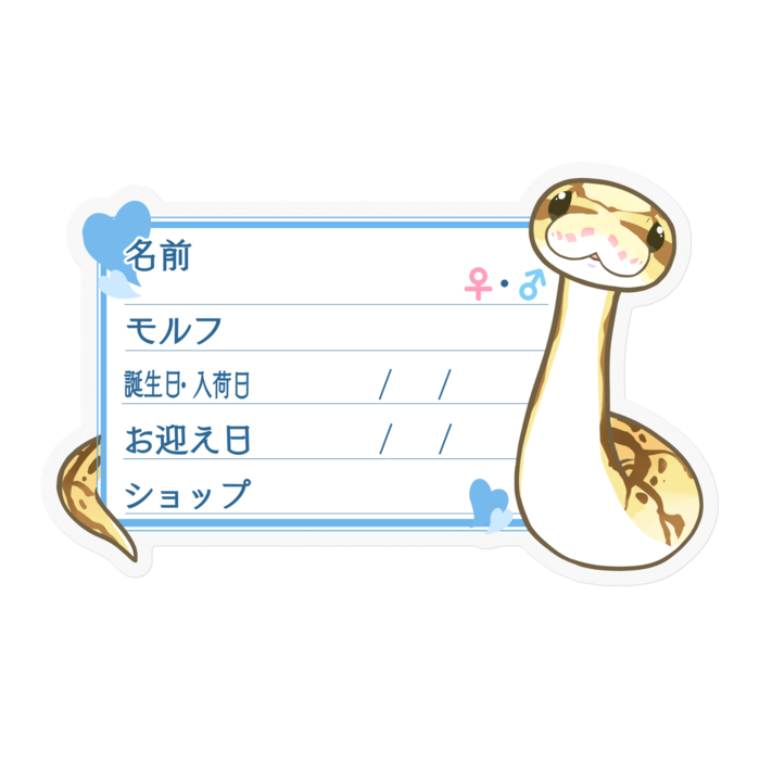 【🐍お名前ステッカー】ボールパイソン(クイーンビー) ‐ハート／ブルー
