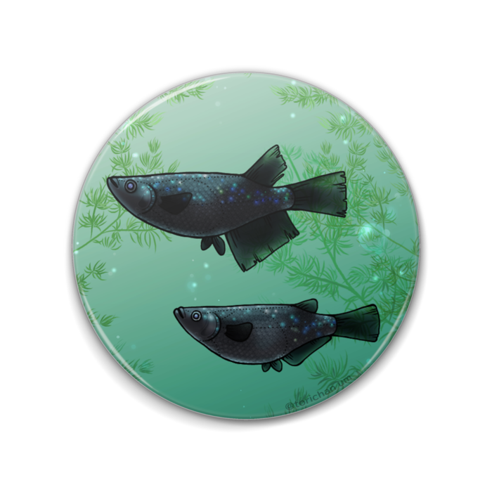 ブラックダイヤ 76mm