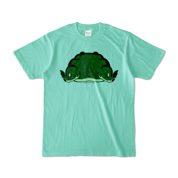 カラーTシャツ - S - アイスグリーン (淡色)