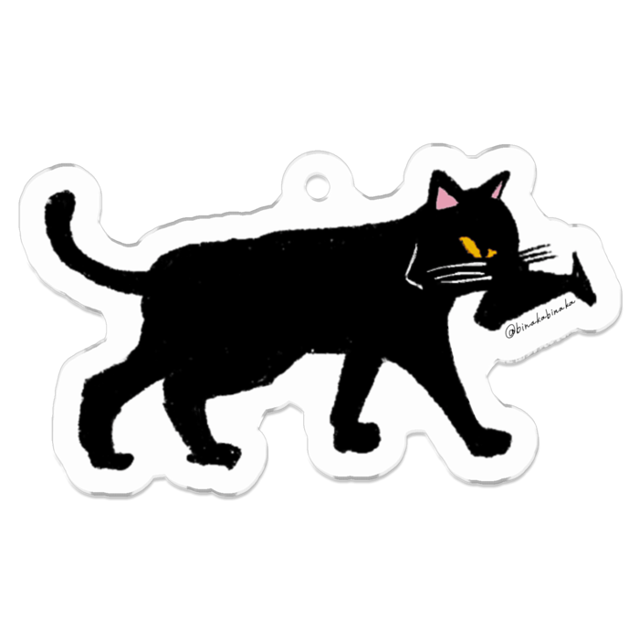 【侵入者のねこ】