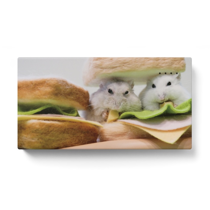 モバイルバッテリー - 123 x 65 (mm)