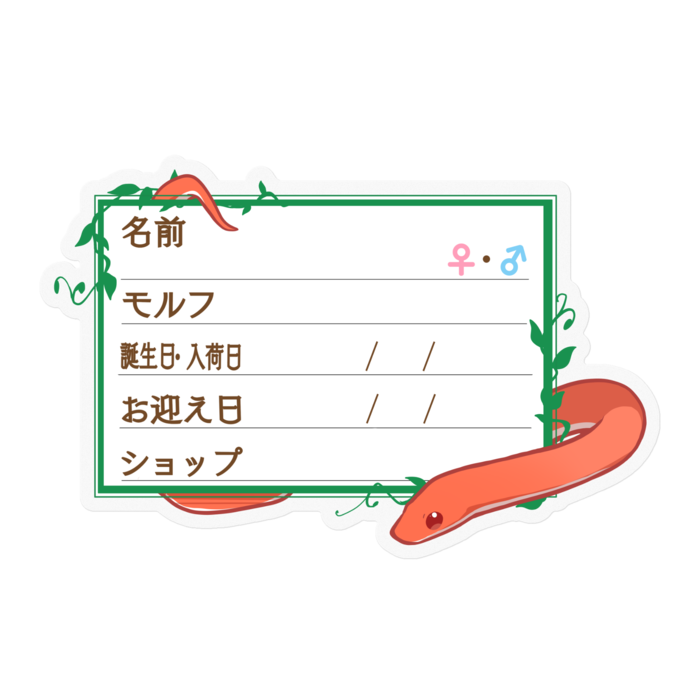 【🐍お名前ステッカー】コーンスネーク(ブラッドレッド) - 蔦