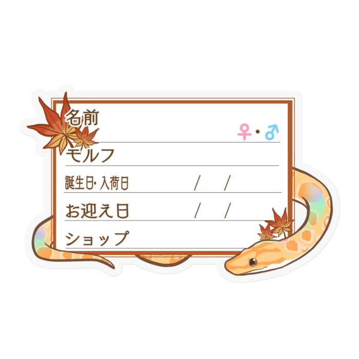 【🐍お名前ステッカー】ブラニジ(アルビノ) ‐もみじ
