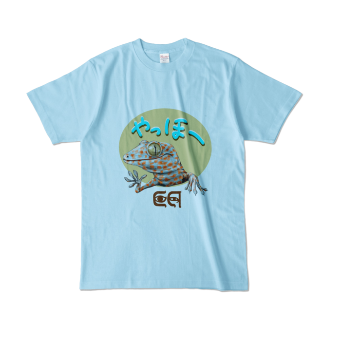 カラーTシャツ - L - ライトブルー (淡色)