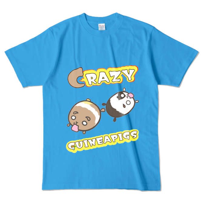 カラーTシャツ - L - ターコイズ (濃色)