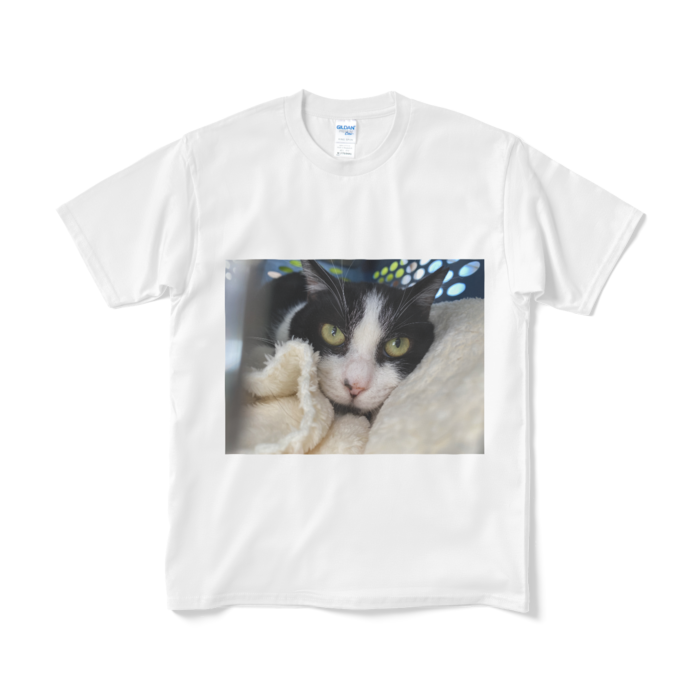 Tシャツ(短納期) - M - ホワイト
