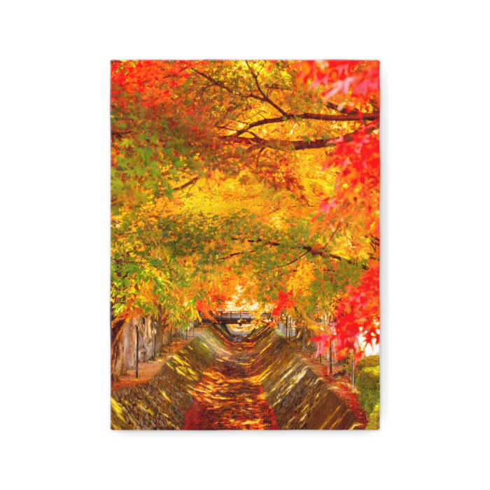 キャンバス - F4