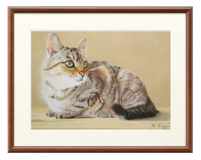 色鉛筆画 猫の絵「卓上の手のり猫(眠)」-