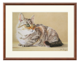 色鉛筆で描いた猫の絵 No 1 リアル色鉛筆画家の店 Booth