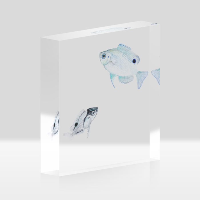 アクリルブロック - 100x100mm
