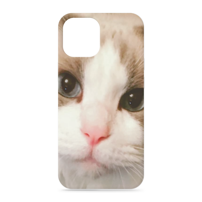 iPhoneケース - iPhone12 ProMax - 正面印刷のみ