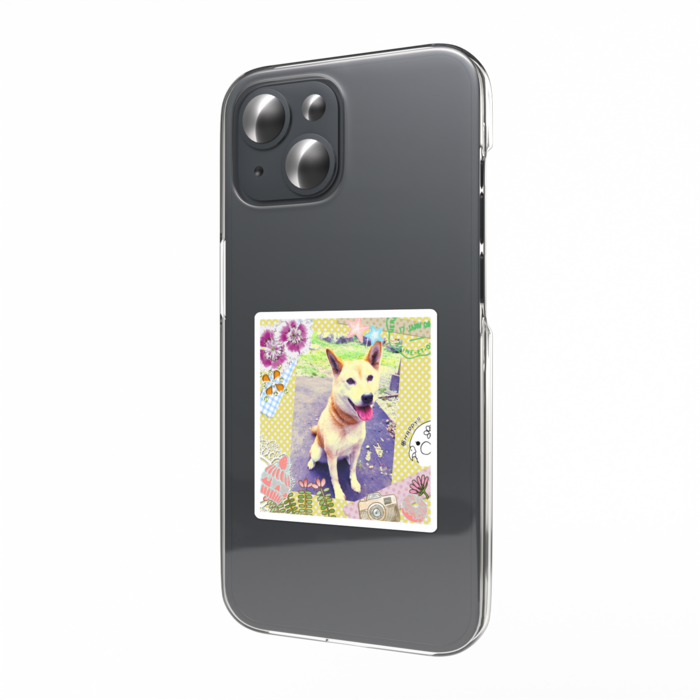 かわいいｳｫﾝﾅ