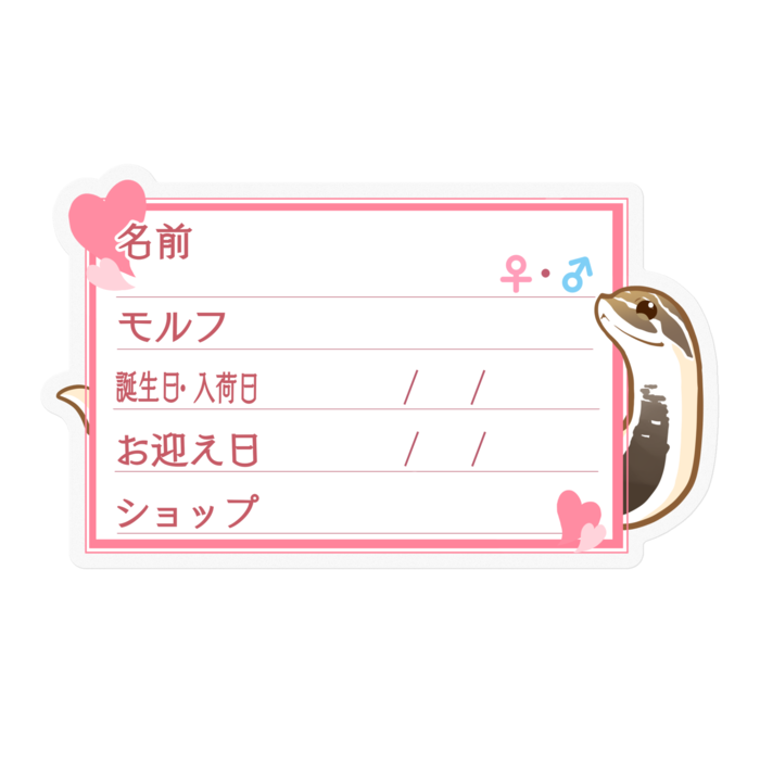 ใ๐ใๅๅในใใใซใผใใทใทใใ(ในใผใใผใณใณใ) โใใผใ๏ผใใณใฏ