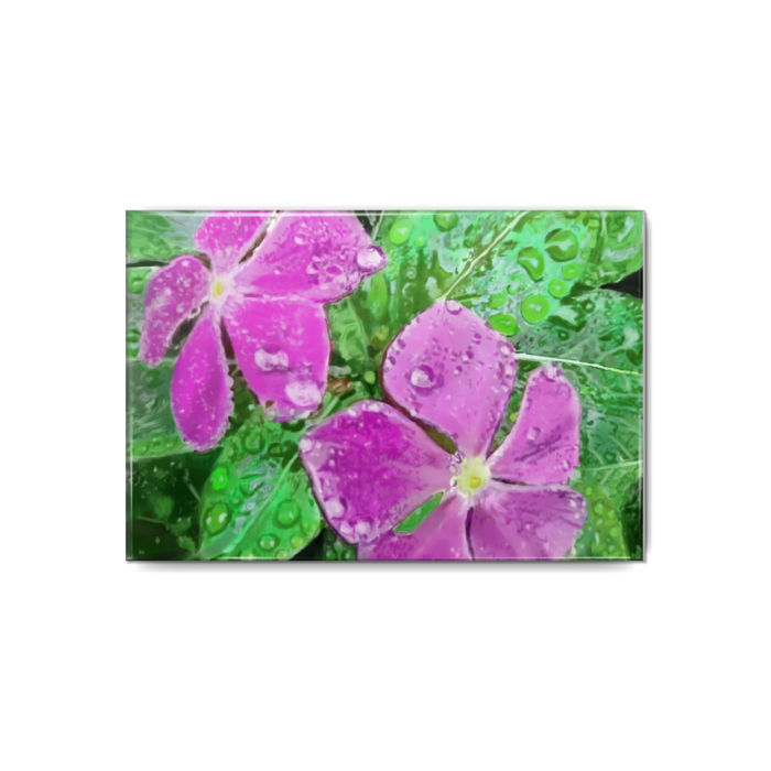 缶バッジ - 80x54mm