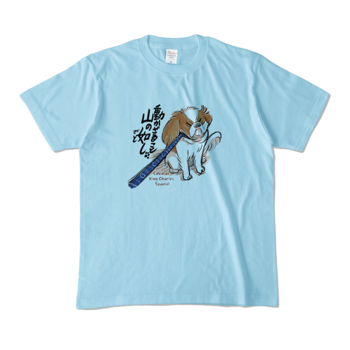 カラーTシャツ - M - ライトブルー (淡色)