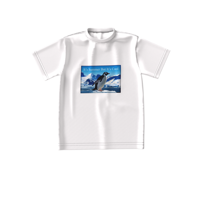 ビッグシルエットTシャツ - S - 正面