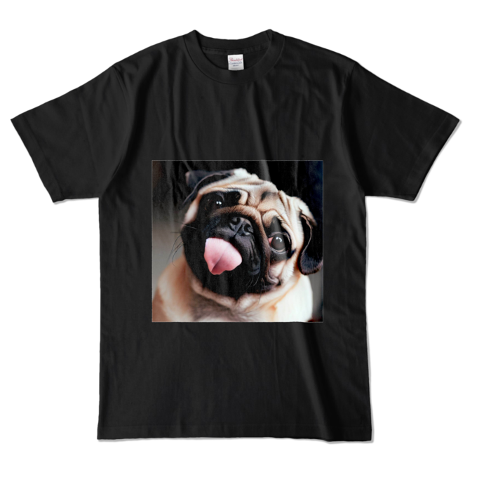 カラーTシャツ - L - ブラック (濃色)