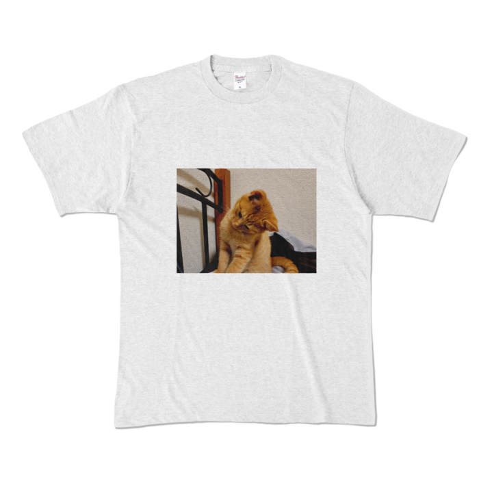 カラーTシャツ - XL - アッシュ (淡色)