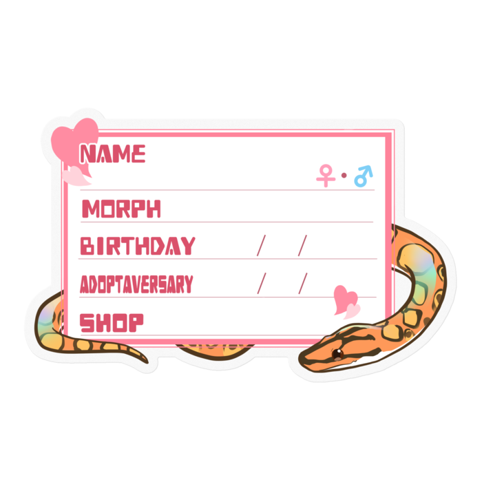 【🐍お名前ステッカー】ブラニジ(ノーマル) ‐ ハート／ピンク(英語)