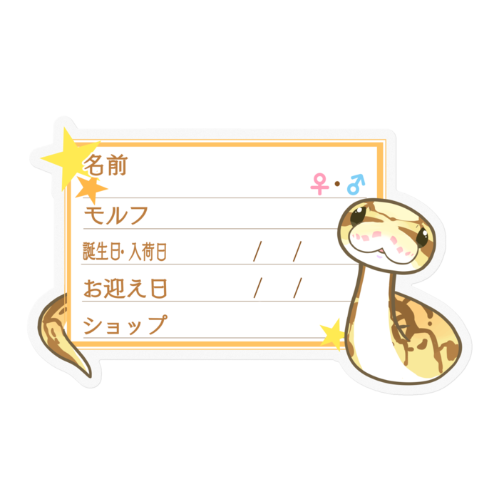 【🐍お名前ステッカー】ボールパイソン(クイーンビーミニ) ‐星