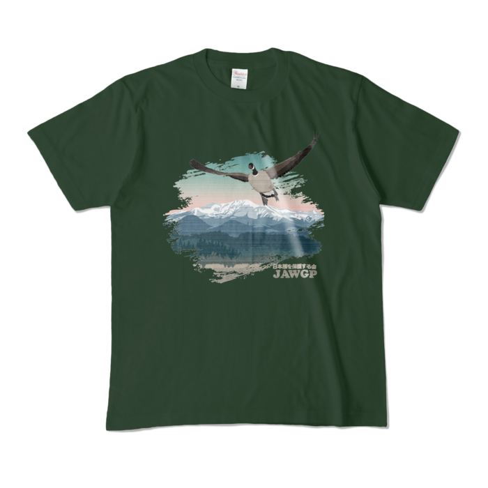 カラーTシャツ - M - フォレスト (濃色)