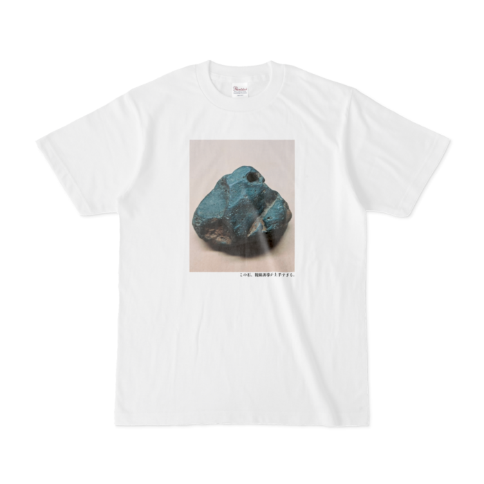Tシャツ - S - 白