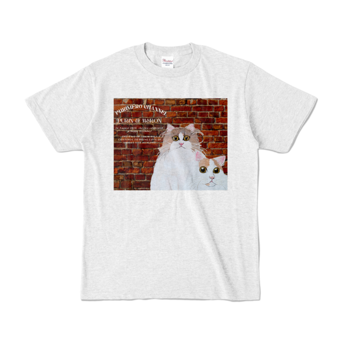 カラーTシャツ - S - アッシュ (淡色)