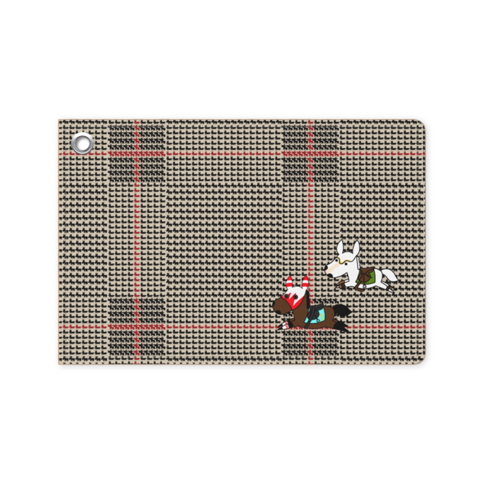パスケース - 70 x 105 (mm)