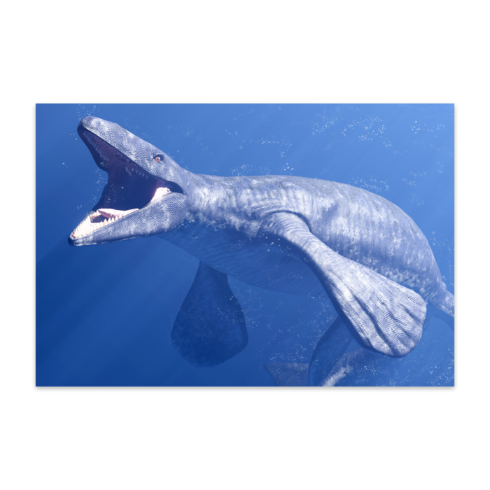 ポストカード(10枚セット) - ヴァンヌーボVGスノーホワイト195kg