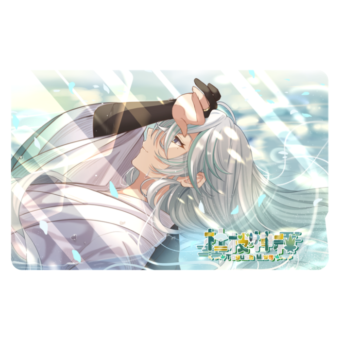 ICカードステッカー - 約85.7x53.9(mm)(1)