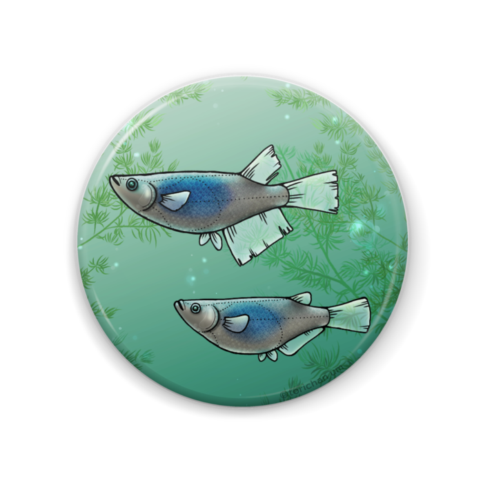 深海 57mm