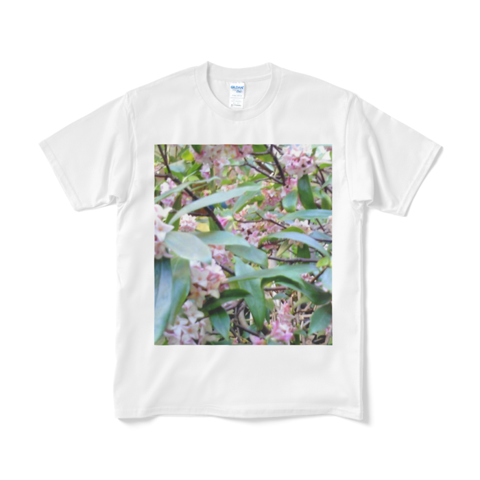 Tシャツ（短納期） - M - ホワイト