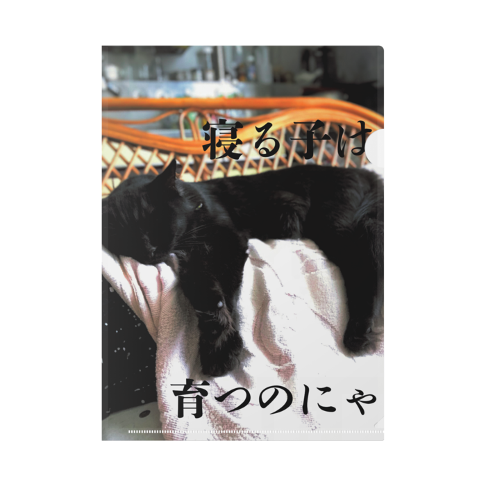 クリアファイル - A4