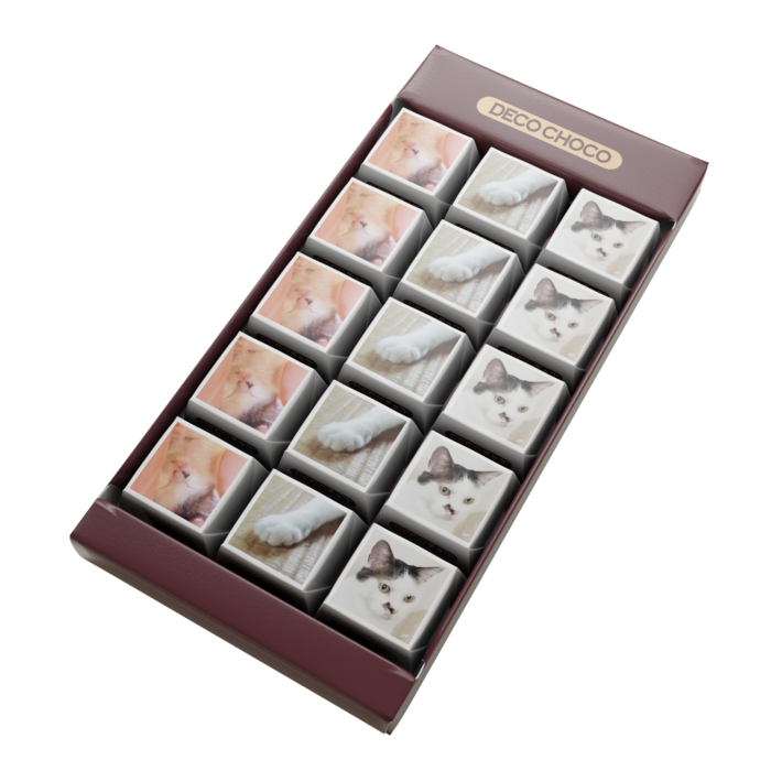 DECOチョコ - 15個入り（3 × 5）