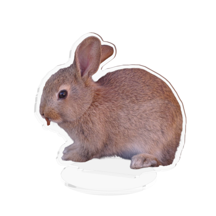 アクリルフィギュア - 100x100mm