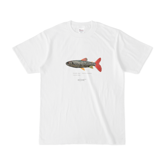 Tシャツ - S - 白