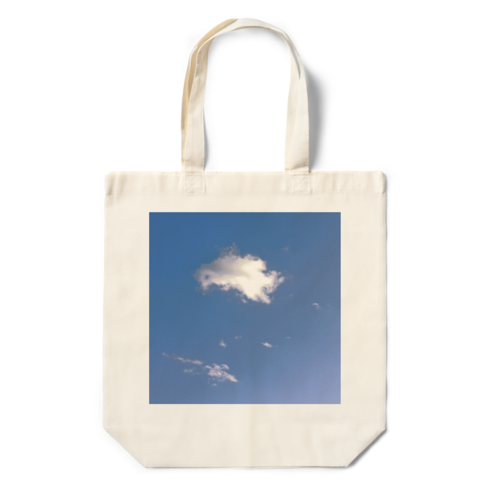 エコバッグ - 360×370×110(mm)