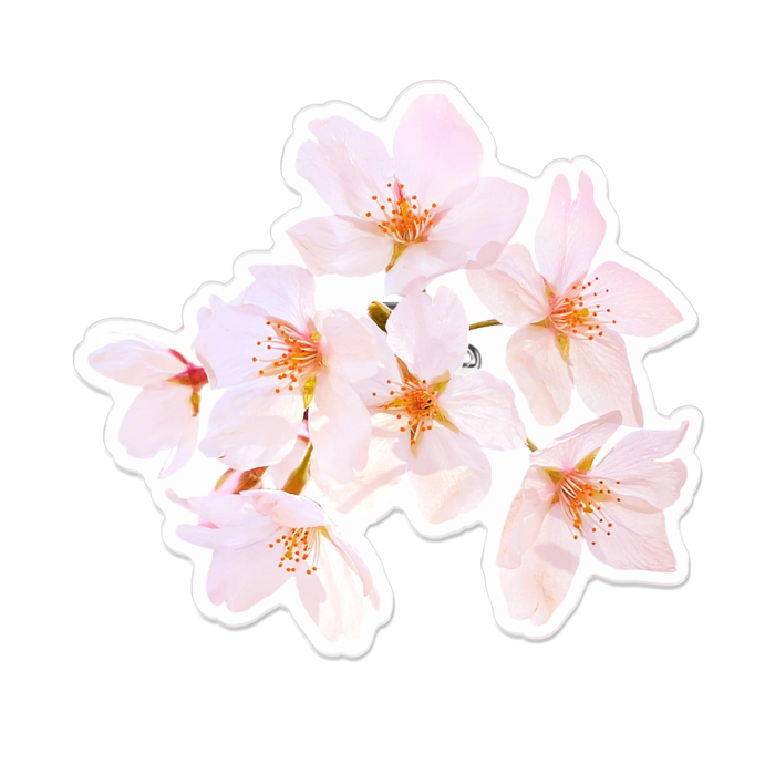 アクリルバッジ - 100 x 100 (mm)