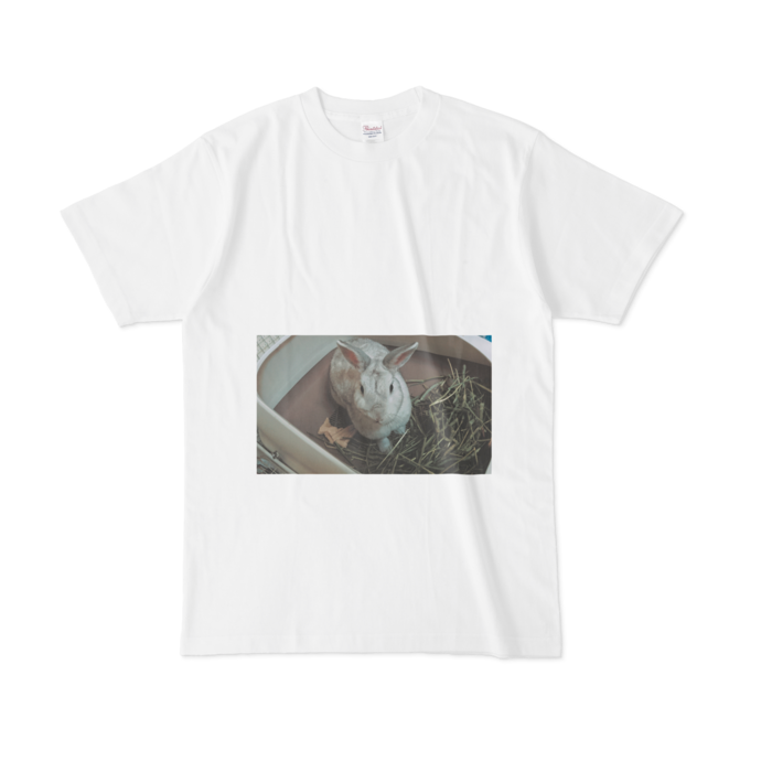 Tシャツ - L - 白